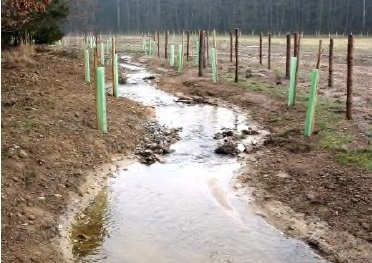 Pekelský potok po 2006-2